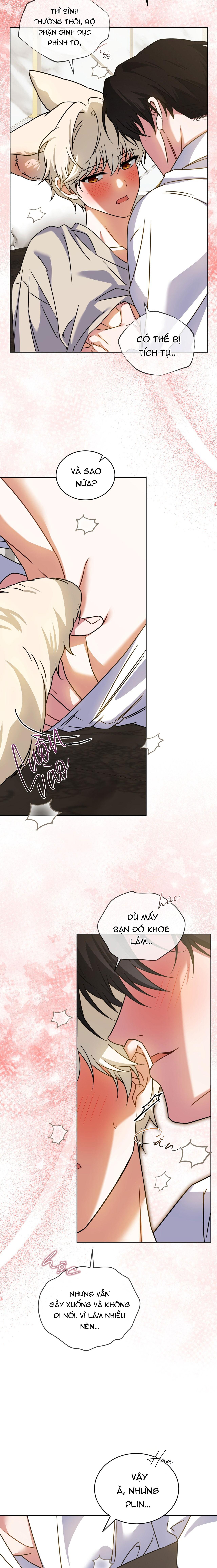 NƯỚC UỐNG TÌNH YÊU CỦA CÁO PLIN Chapter 43 - Trang 2