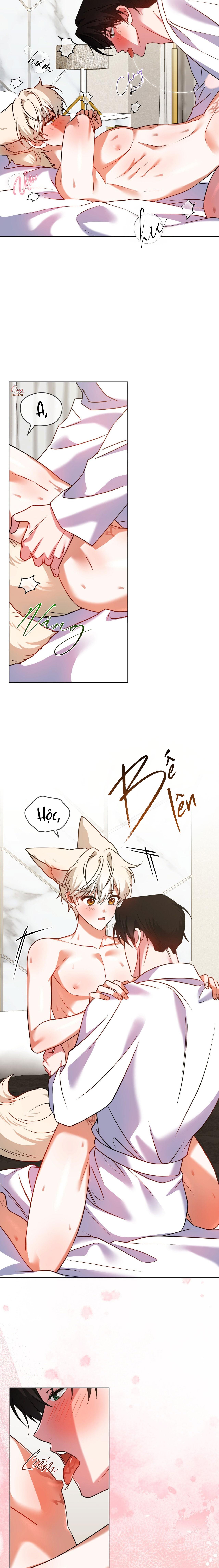 NƯỚC UỐNG TÌNH YÊU CỦA CÁO PLIN Chapter 43 - Trang 2