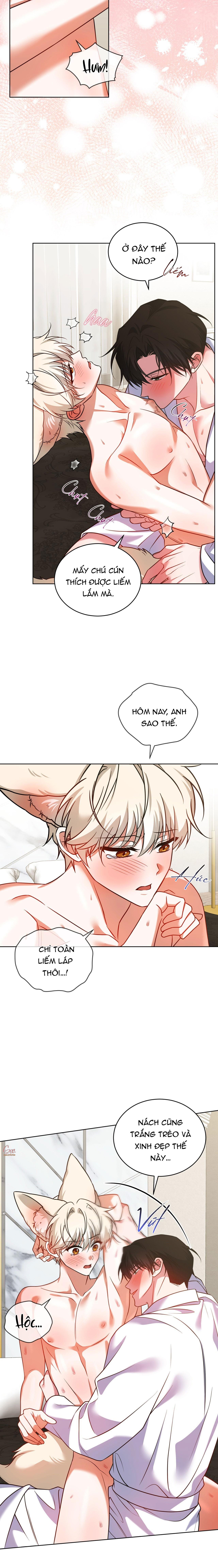 NƯỚC UỐNG TÌNH YÊU CỦA CÁO PLIN Chapter 43 - Trang 2