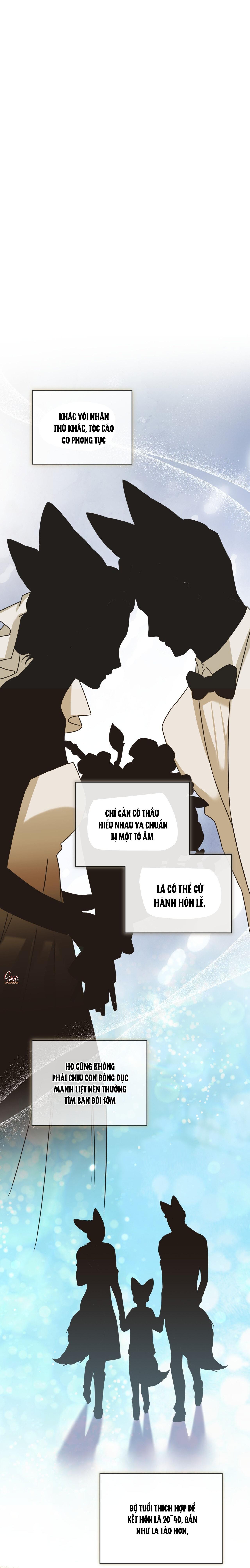 NƯỚC UỐNG TÌNH YÊU CỦA CÁO PLIN Chapter 47 - Trang 3