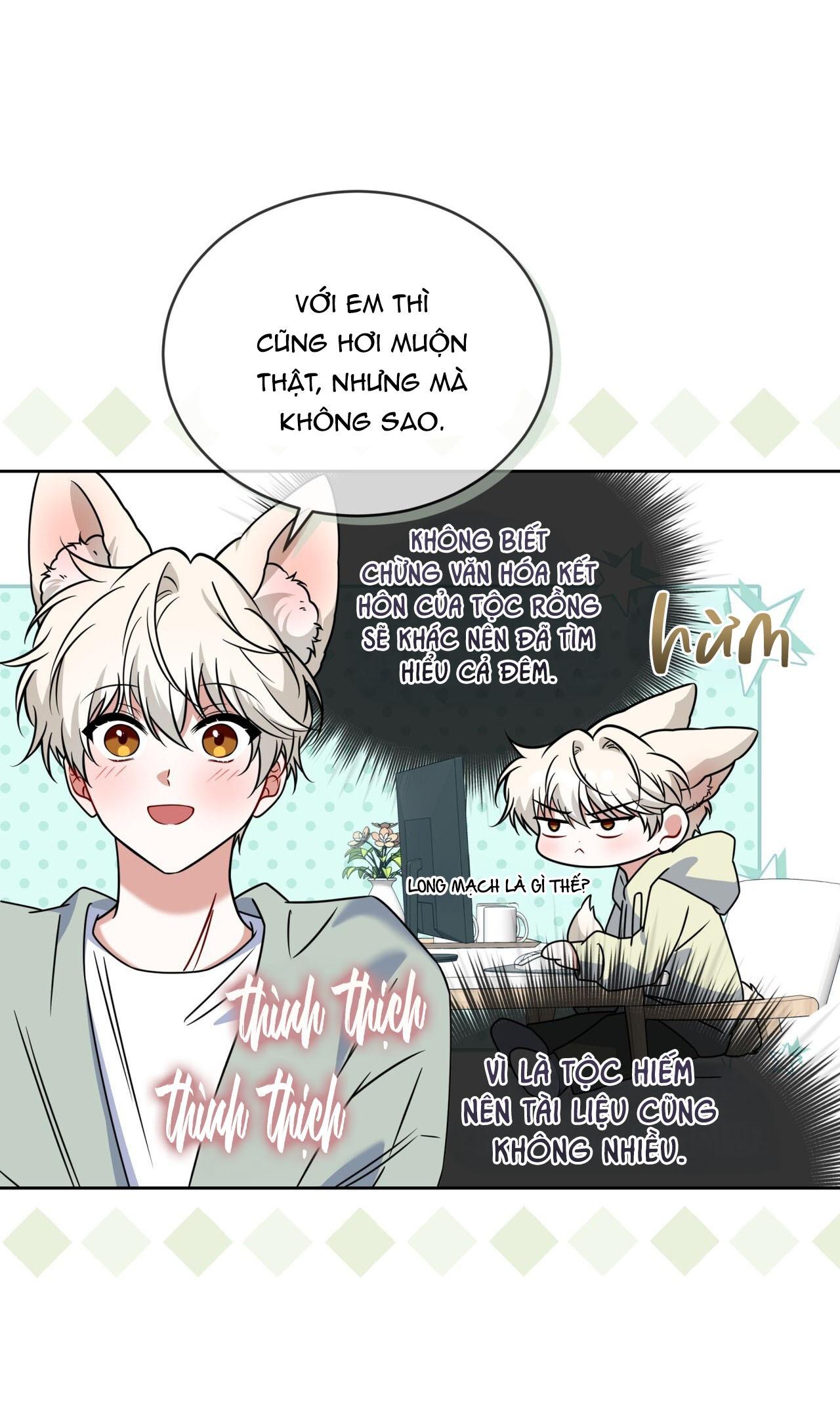 NƯỚC UỐNG TÌNH YÊU CỦA CÁO PLIN Chapter 47 - Trang 3