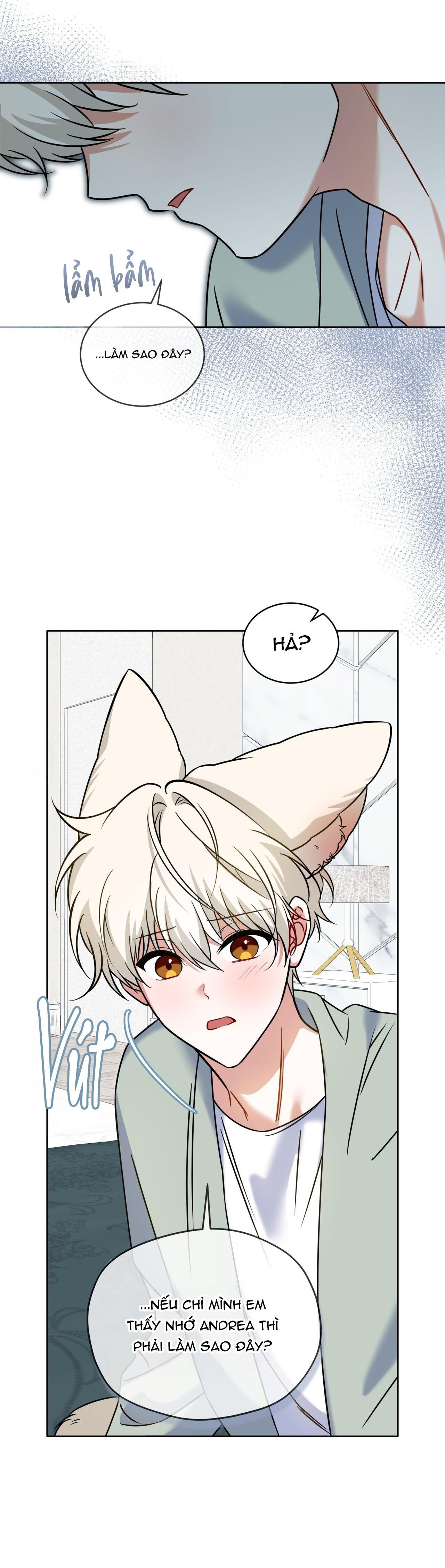 NƯỚC UỐNG TÌNH YÊU CỦA CÁO PLIN Chapter 47 - Trang 3