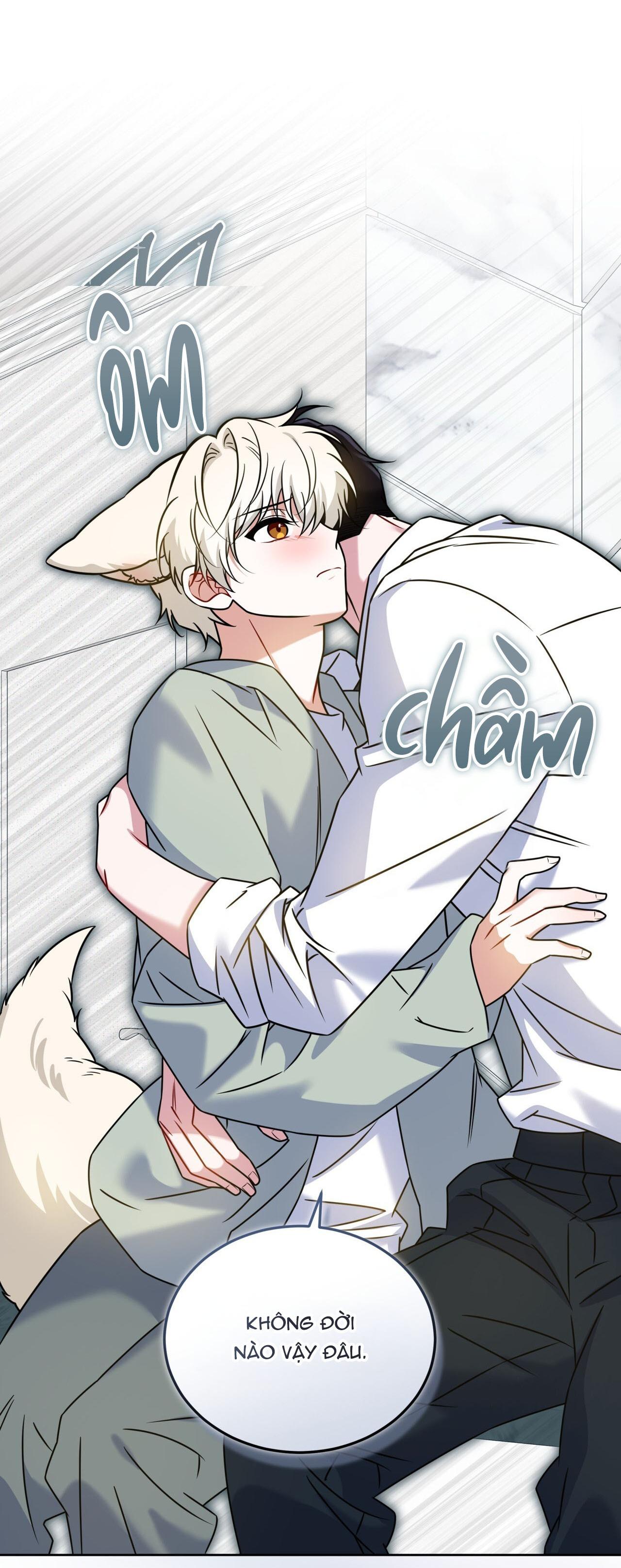 NƯỚC UỐNG TÌNH YÊU CỦA CÁO PLIN Chapter 47 - Trang 3