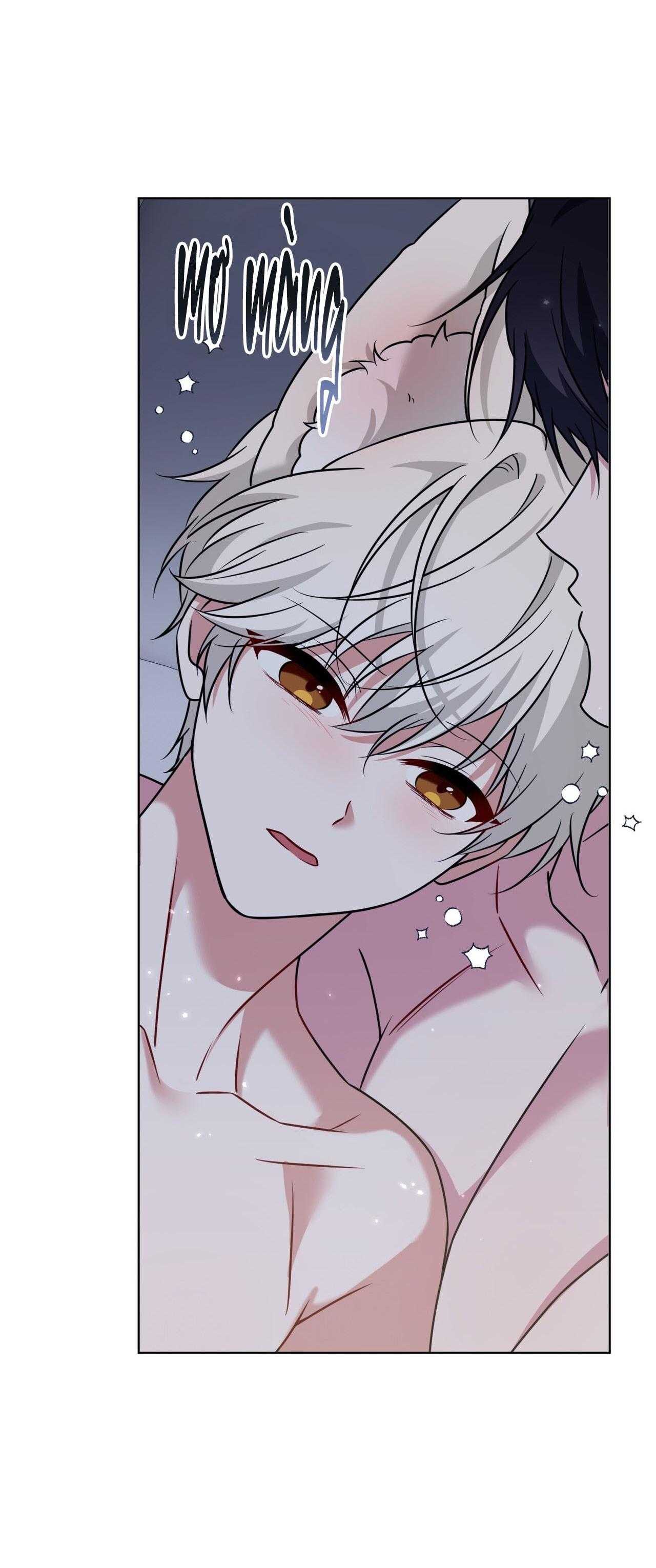 NƯỚC UỐNG TÌNH YÊU CỦA CÁO PLIN Chapter 49 - Trang 3