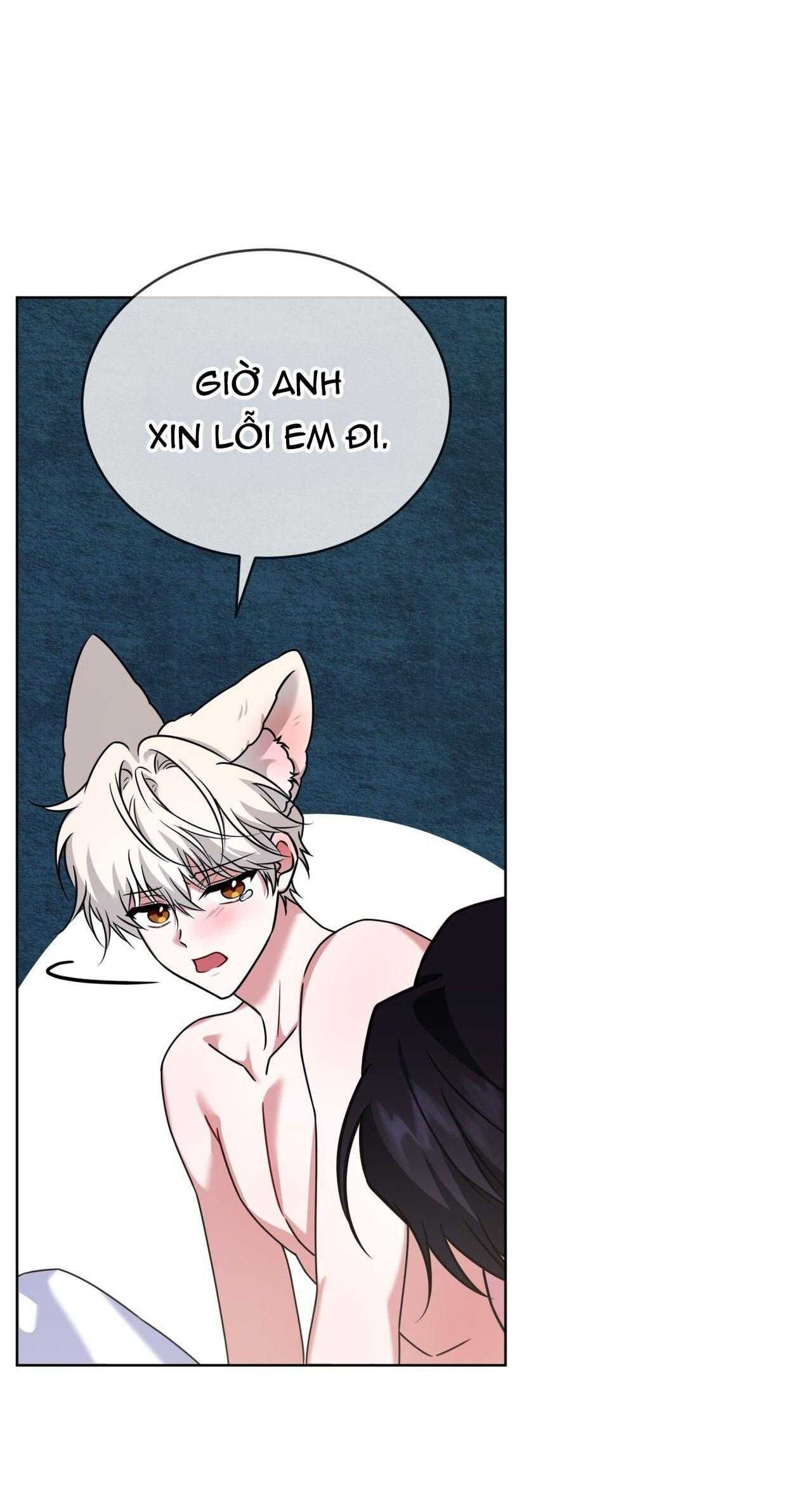 NƯỚC UỐNG TÌNH YÊU CỦA CÁO PLIN Chapter 49 - Trang 3