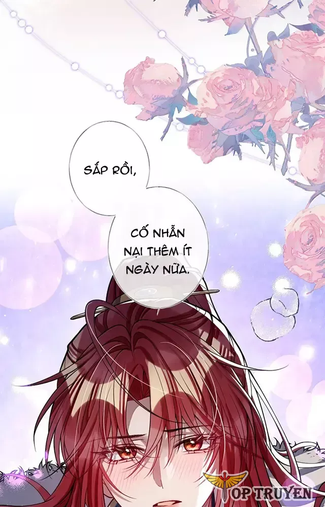 Nuông Chiều Mỹ Nhân Cuồng Nhiệt Chapter 60 - Trang 2