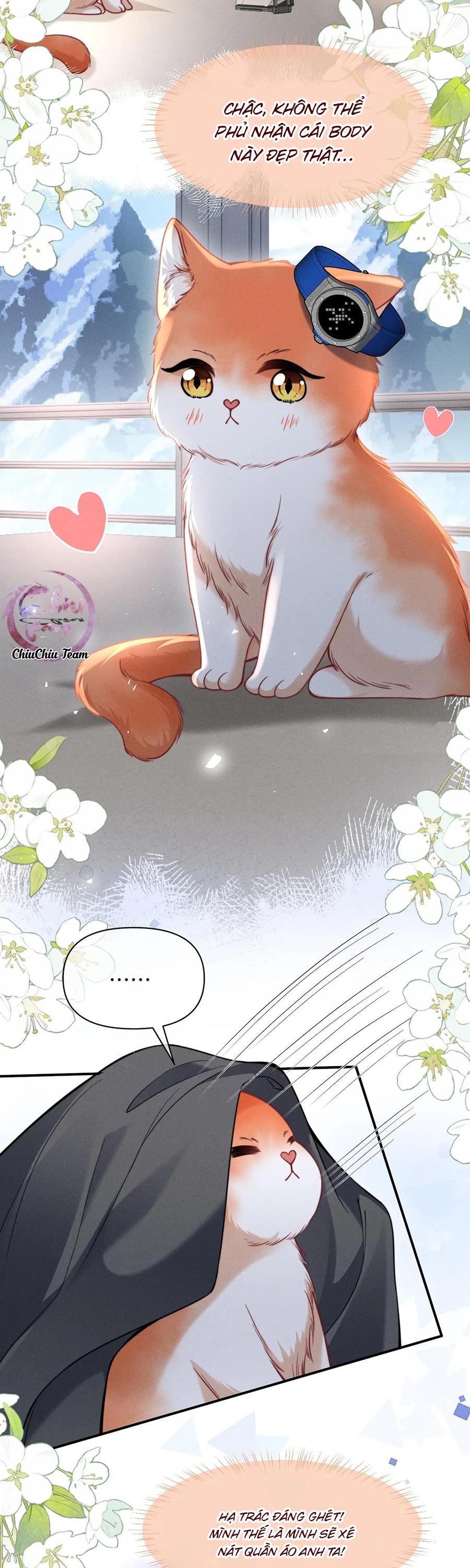 Nuông Chiều Sinh Hư Chapter 43 - Trang 3