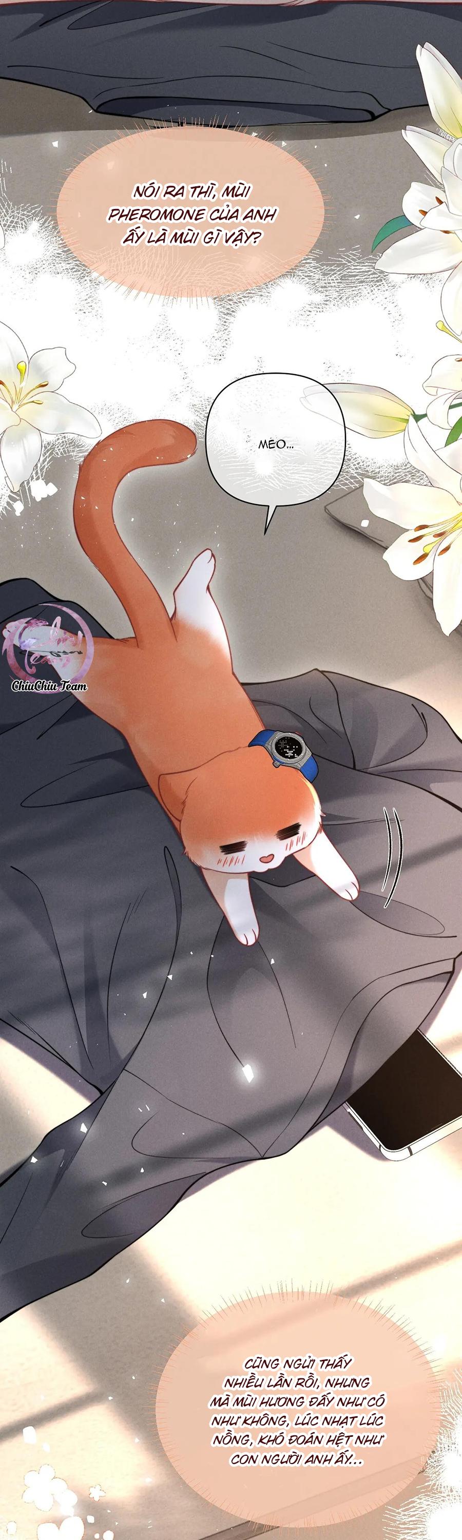 Nuông Chiều Sinh Hư Chapter 43 - Trang 3