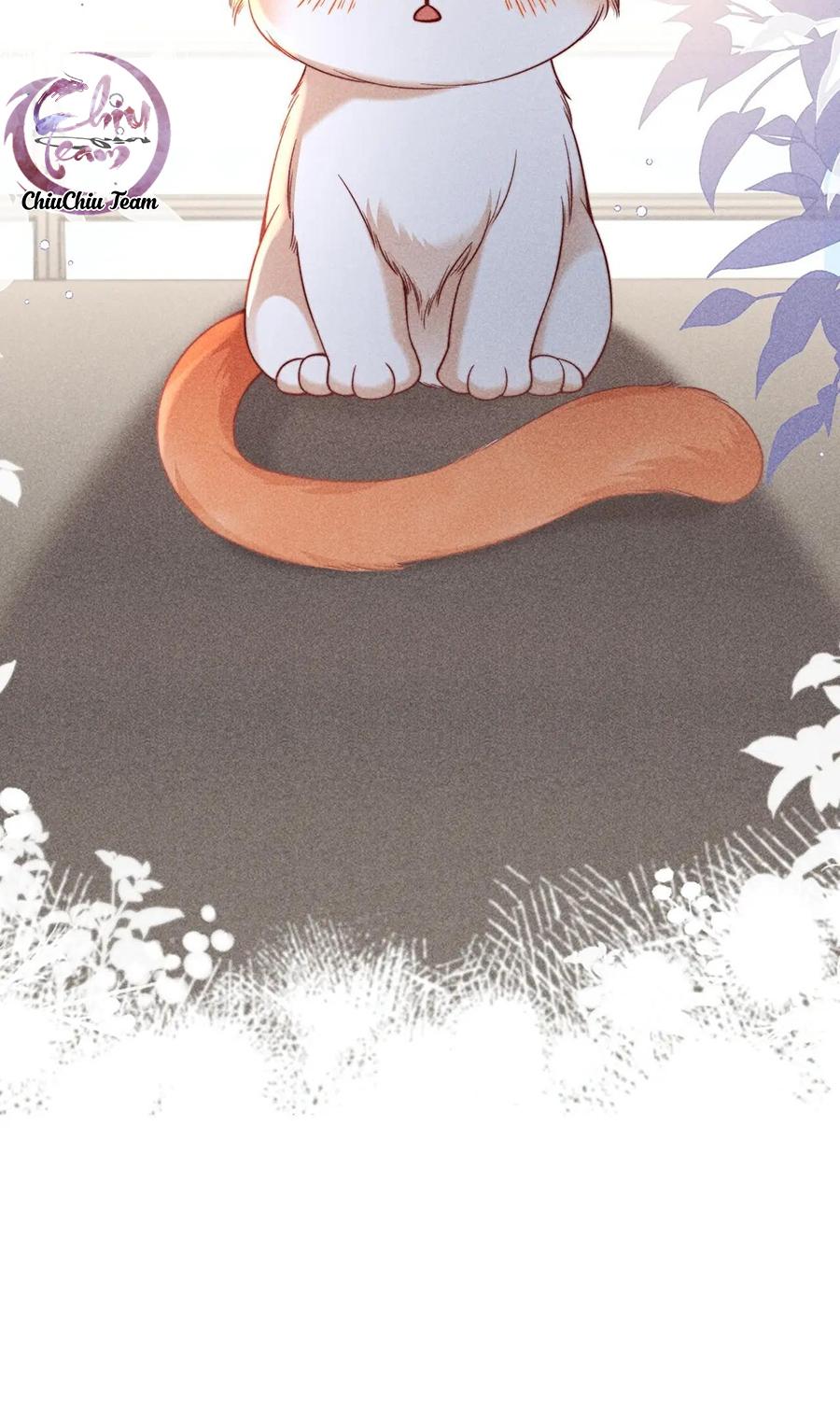 Nuông Chiều Sinh Hư Chapter 43 - Trang 3