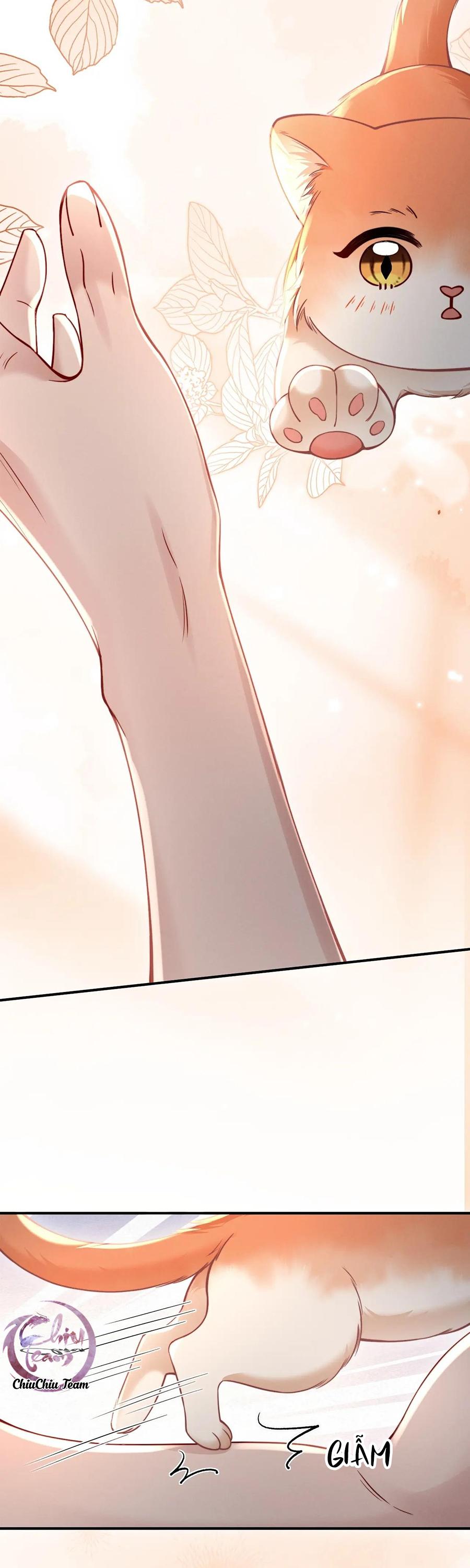 Nuông Chiều Sinh Hư Chapter 44 - Trang 3