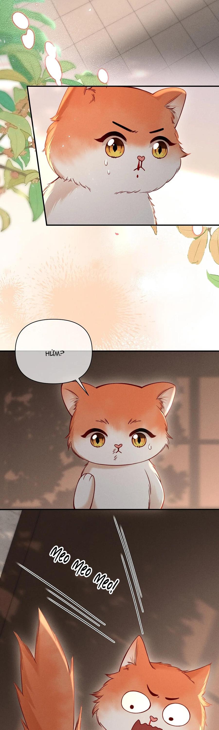 Nuông Chiều Sinh Hư Chapter 44 - Trang 3