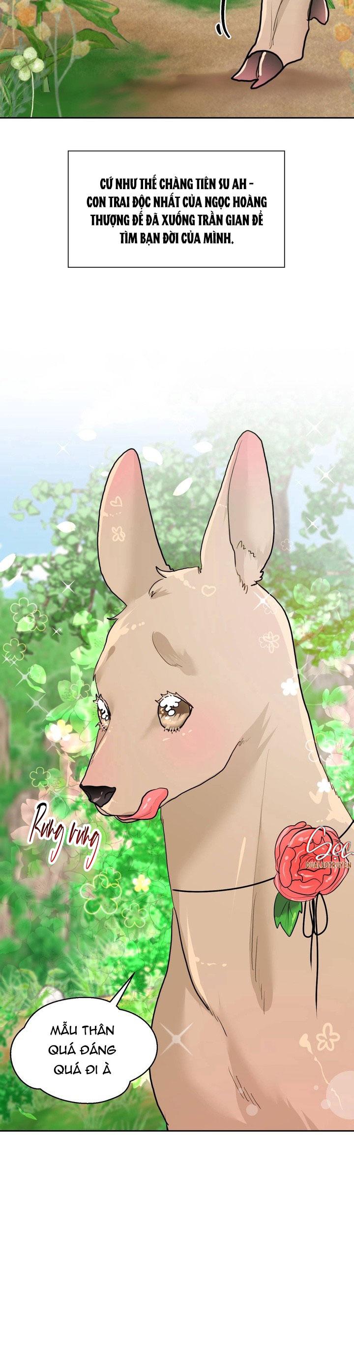 (AxB) OMEGA CỦA ANH TRAI Chapter 17 - Trang 3