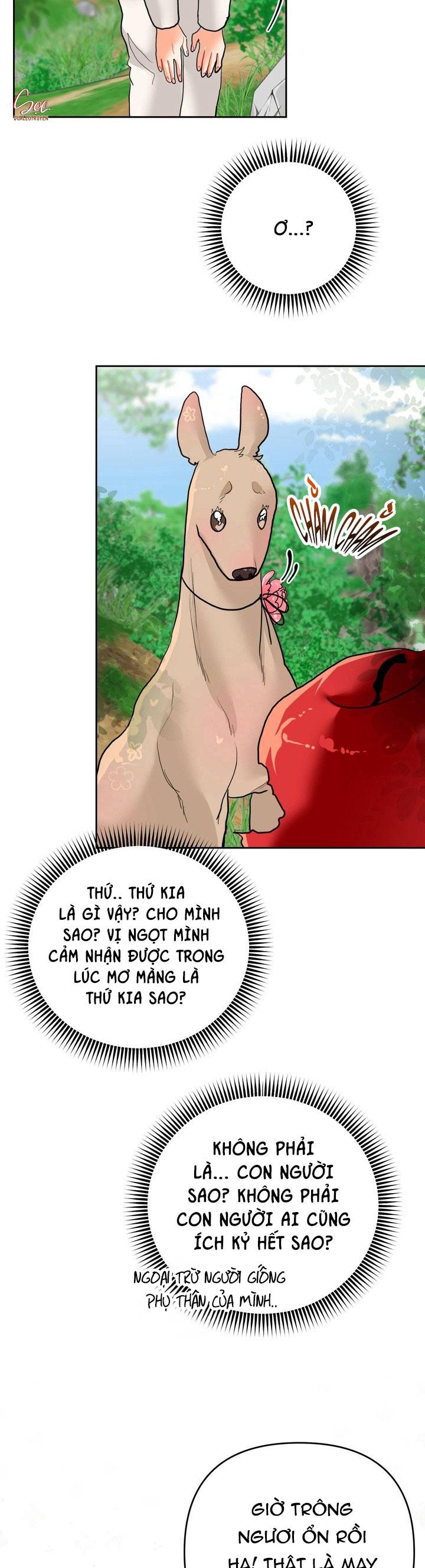 (AxB) OMEGA CỦA ANH TRAI Chapter 17 - Trang 3