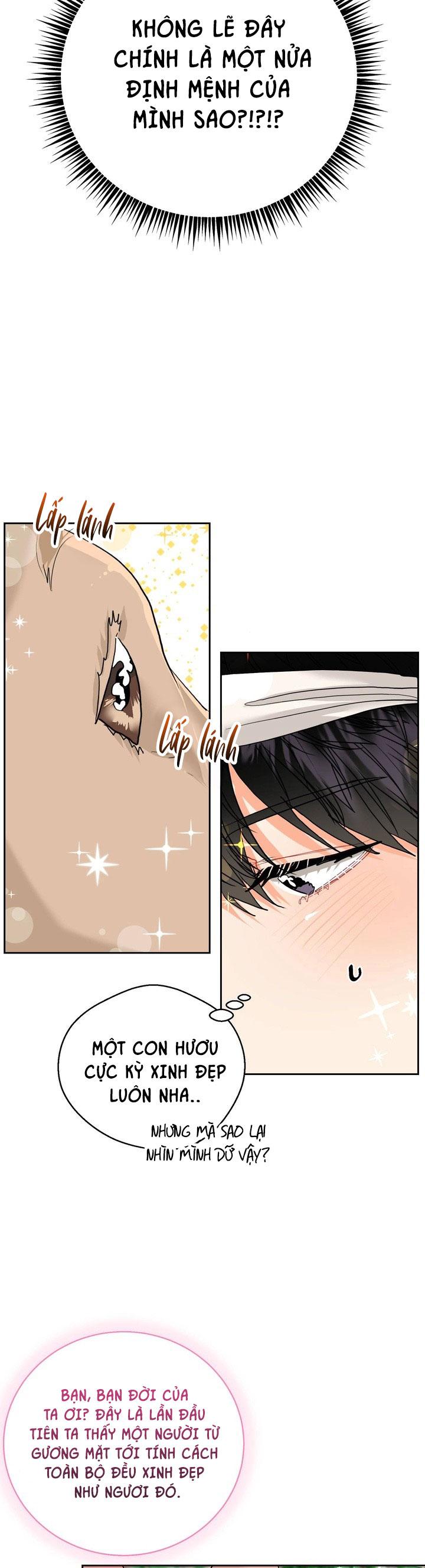(AxB) OMEGA CỦA ANH TRAI Chapter 17 - Trang 3