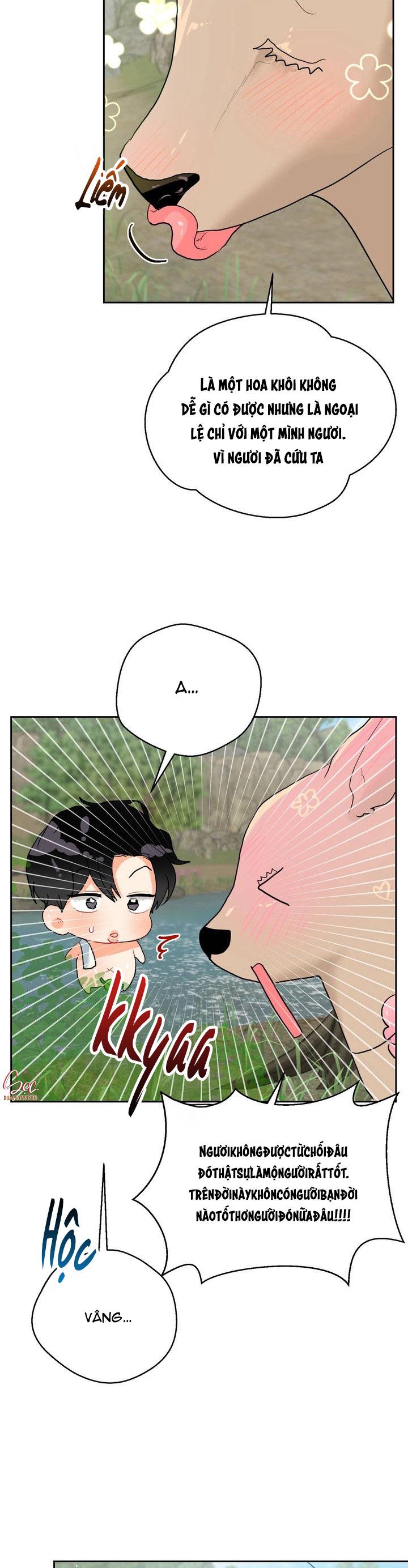 (AxB) OMEGA CỦA ANH TRAI Chapter 17 - Trang 3