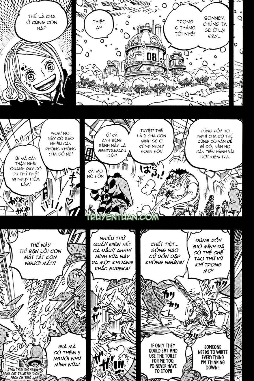 One Piece Chapter 1100 - Trang 4