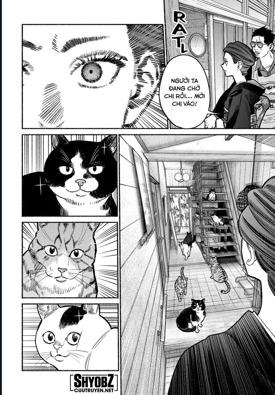 Ông Chồng Yakuza Nội Trợ Chapter 118 - Trang 2