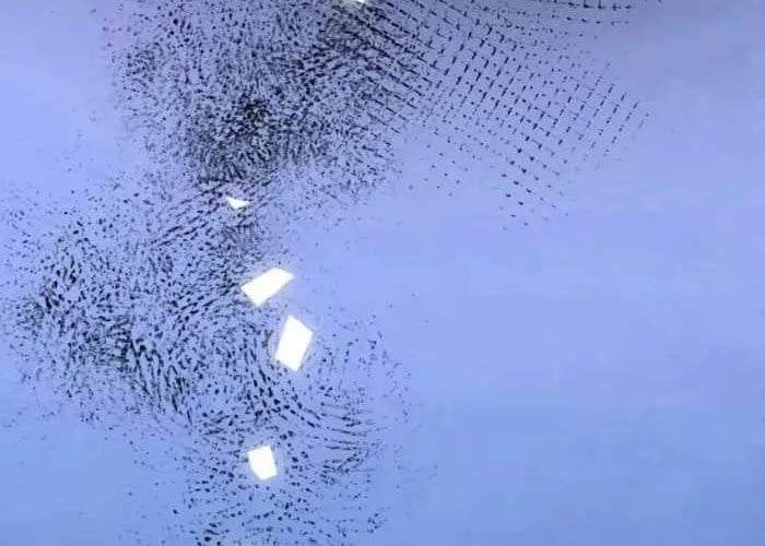 Pháp Sư Thiên Tài Phá Vỡ Giới Hạn Chapter 31 - Trang 2