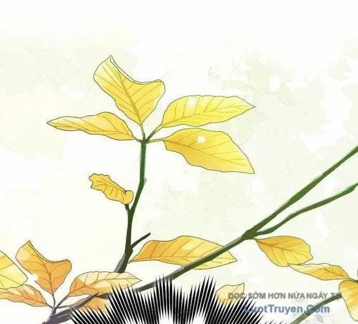 Pháp Sư Thiên Tài Phá Vỡ Giới Hạn Chapter 32 - Trang 2