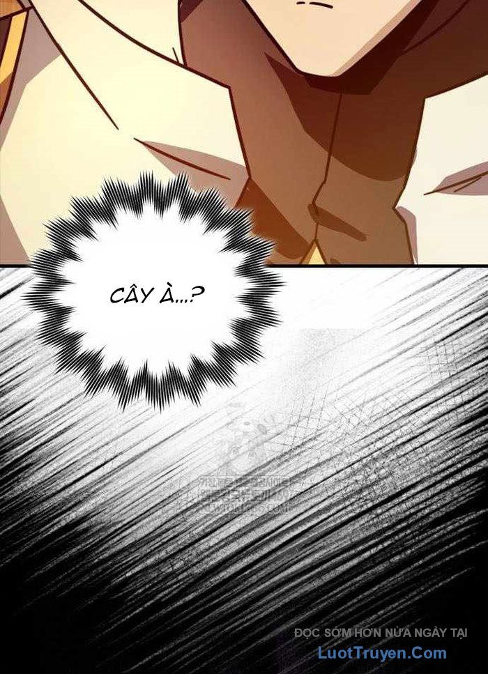 Pháp Sư Thiên Tài Phá Vỡ Giới Hạn Chapter 34 - Trang 2