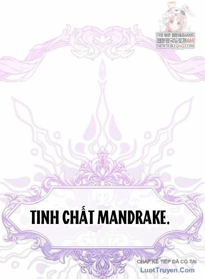 Pháp Sư Thiên Tài Phá Vỡ Giới Hạn Chapter 36 - Trang 2