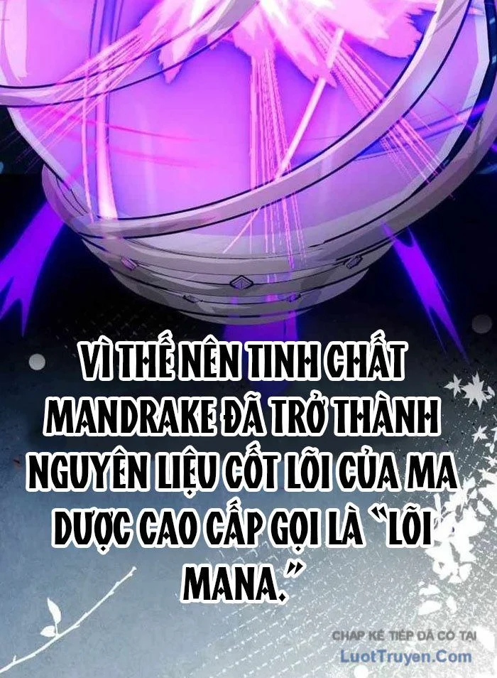 Pháp Sư Thiên Tài Phá Vỡ Giới Hạn Chapter 36 - Trang 2