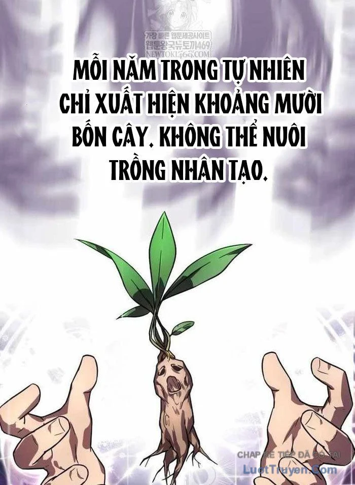 Pháp Sư Thiên Tài Phá Vỡ Giới Hạn Chapter 36 - Trang 2