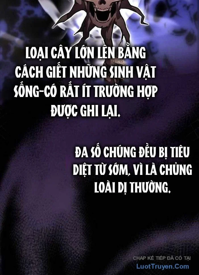 Pháp Sư Thiên Tài Phá Vỡ Giới Hạn Chapter 36 - Trang 2