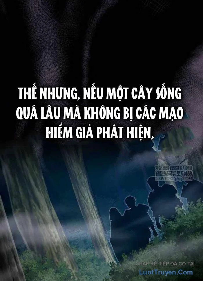 Pháp Sư Thiên Tài Phá Vỡ Giới Hạn Chapter 36 - Trang 2