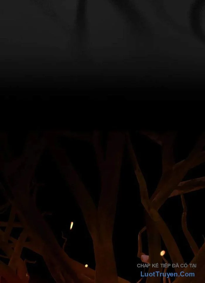 Pháp Sư Thiên Tài Phá Vỡ Giới Hạn Chapter 37 - Trang 2