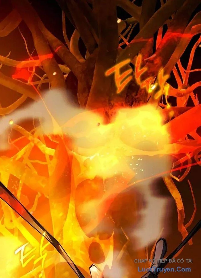 Pháp Sư Thiên Tài Phá Vỡ Giới Hạn Chapter 37 - Trang 2