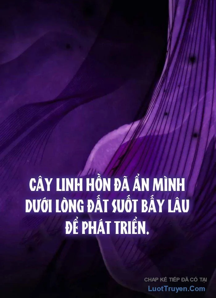 Pháp Sư Thiên Tài Phá Vỡ Giới Hạn Chapter 38 - Trang 2