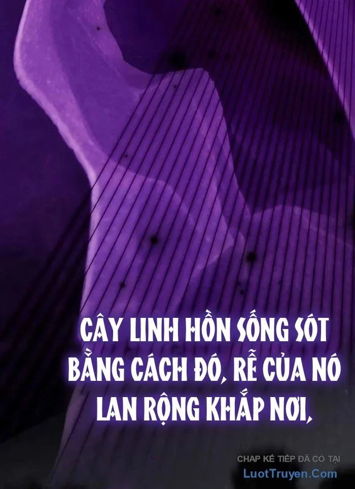 Pháp Sư Thiên Tài Phá Vỡ Giới Hạn Chapter 38 - Trang 2