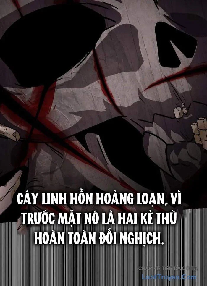 Pháp Sư Thiên Tài Phá Vỡ Giới Hạn Chapter 38 - Trang 2