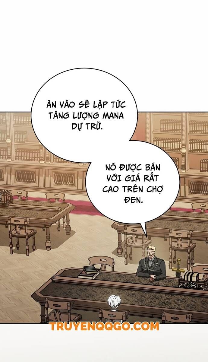 Pháp Sư Thiên Tài Thấu Triệt Khái Niệm Chapter 8 29