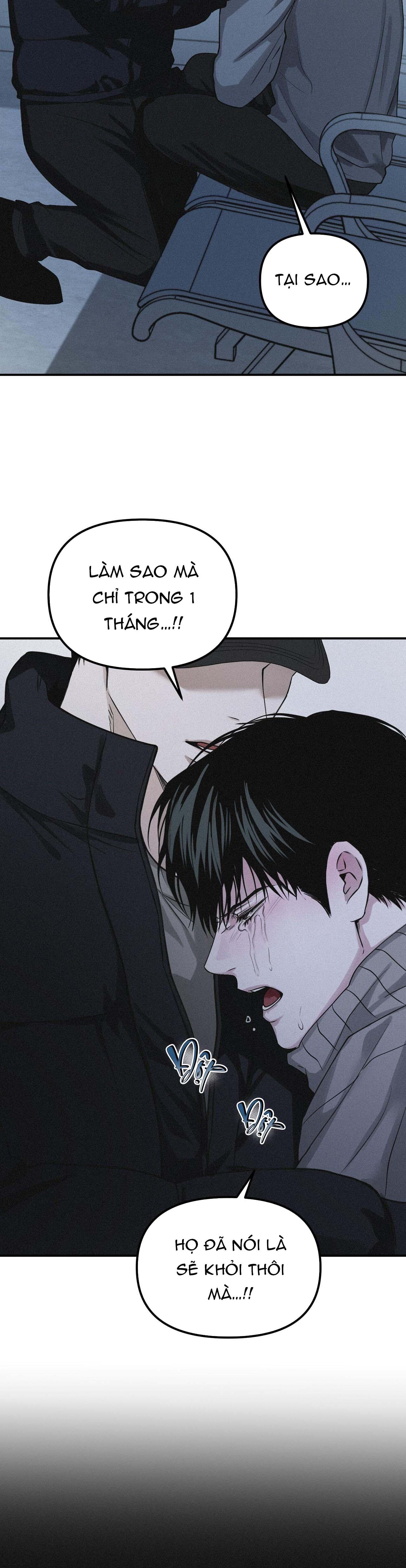 Hình Chiếu Chapter 48 - Trang 3