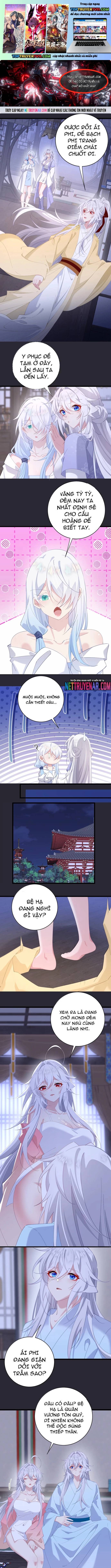 Phơi Bày Thân Phận Nữ Của Hoàng Đế Chapter 65 - Trang 2