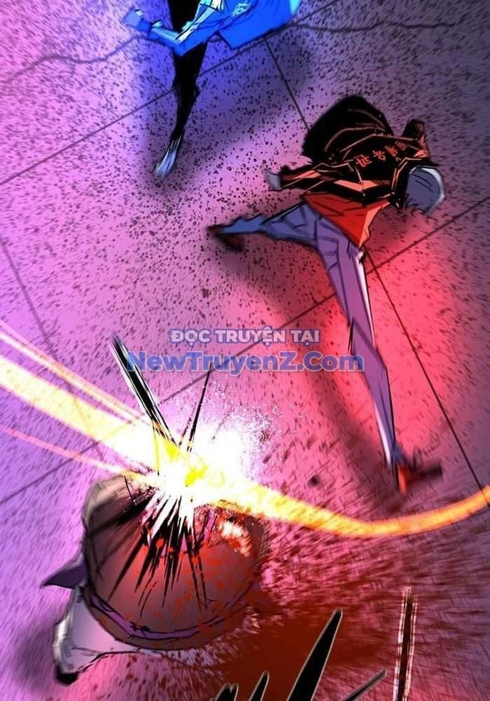 Phòng Gym Hanlim Chapter 228 - Trang 2
