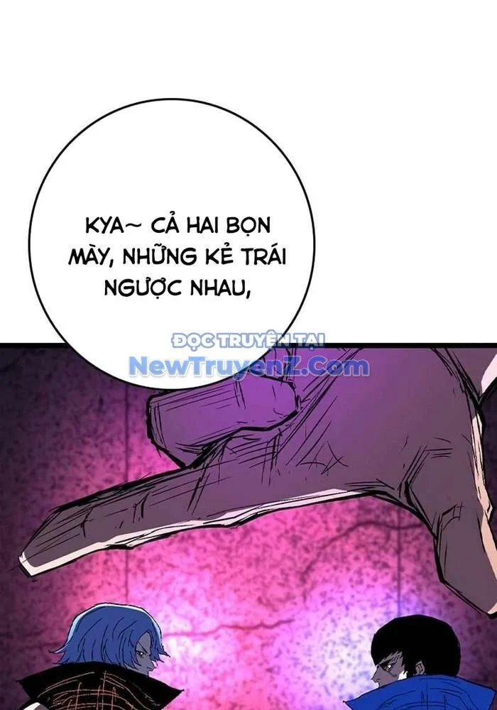 Phòng Gym Hanlim Chapter 228 - Trang 2