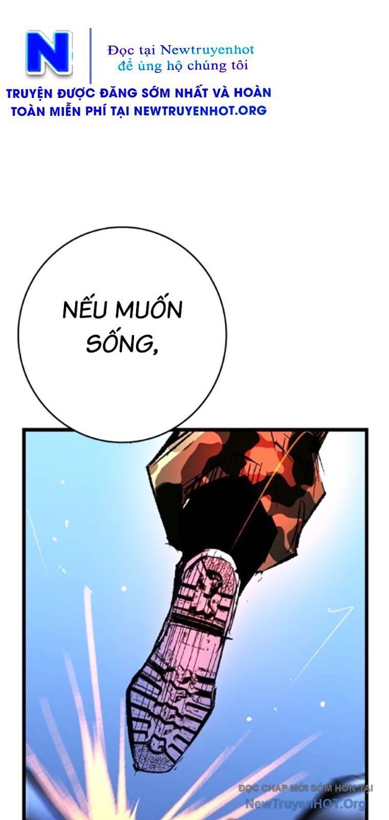 Phòng Gym Hanlim Chapter 242 - Trang 3