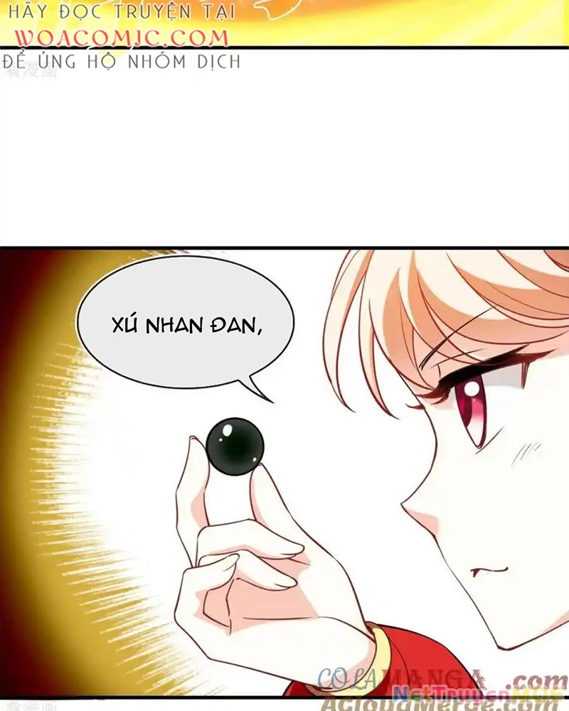 Phong Khởi Thương Lam Chapter 691 - Trang 2
