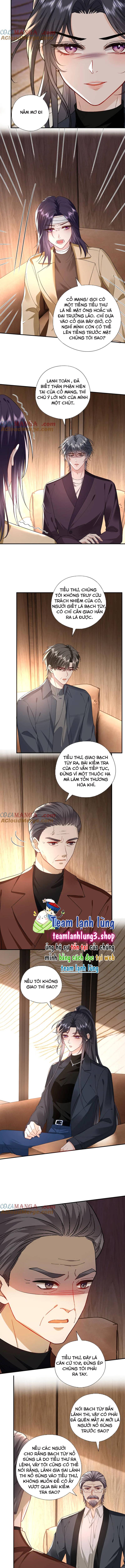 Phu Nhân Đại Boss Ngày Nào Cũng Vả Mặt Tiểu Nhân Chapter 186 - Trang 3