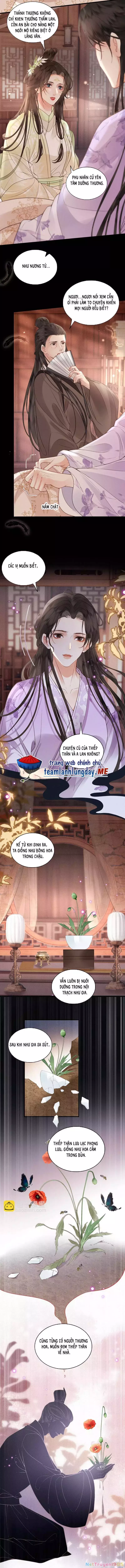 Phu Quân Giữ Thê Chapter 61 5