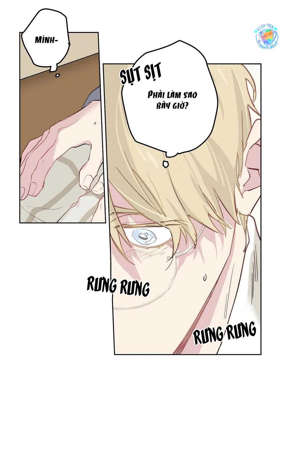 Phù Thủy Xứ Eden Chapter 16 - Next 
