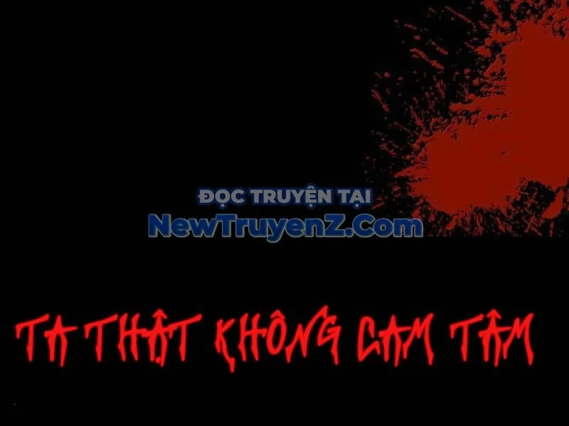 Phụng Chỉ Xuất Quỹ Chapter 26 - Trang 2