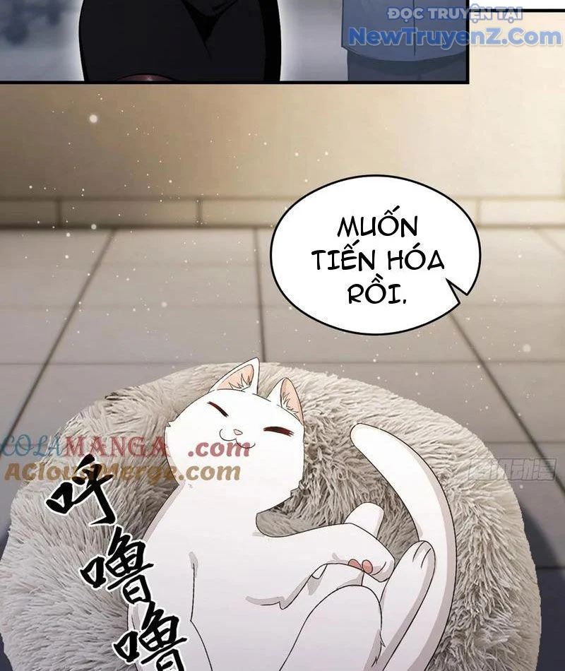Quá Ảo! Ta Mở Lớp Đào Tạo Nữ Đế Chapter 102 - Trang 2