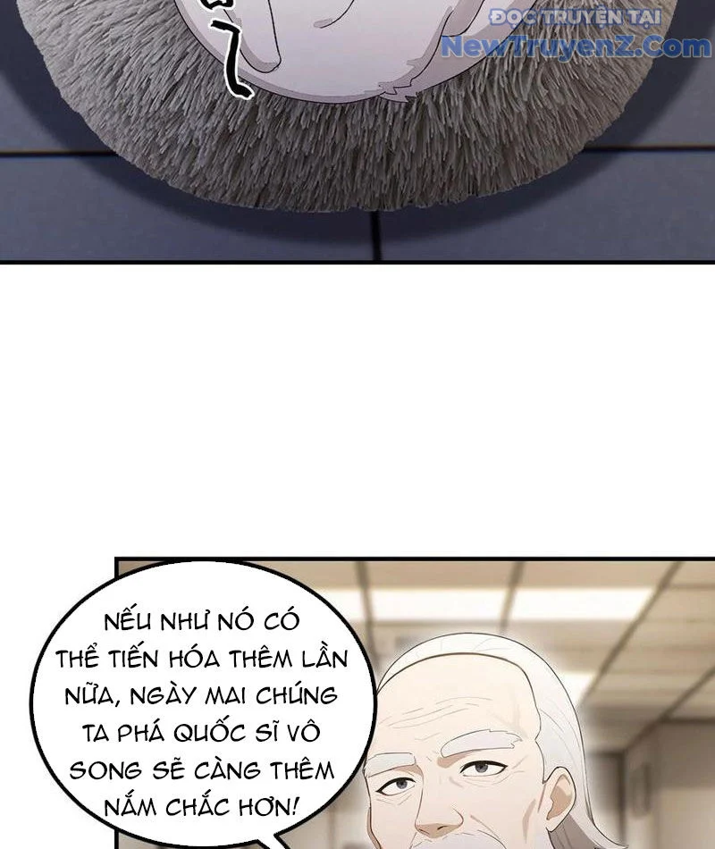Quá Ảo! Ta Mở Lớp Đào Tạo Nữ Đế Chapter 102 - Trang 2