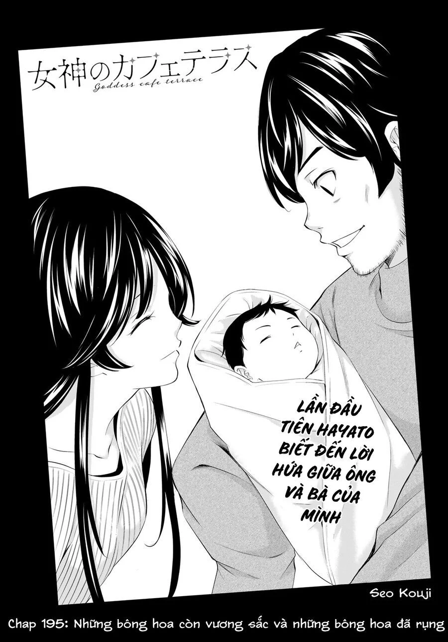 Quán Cà Phê Nữ Thần Chapter 195 - Next 