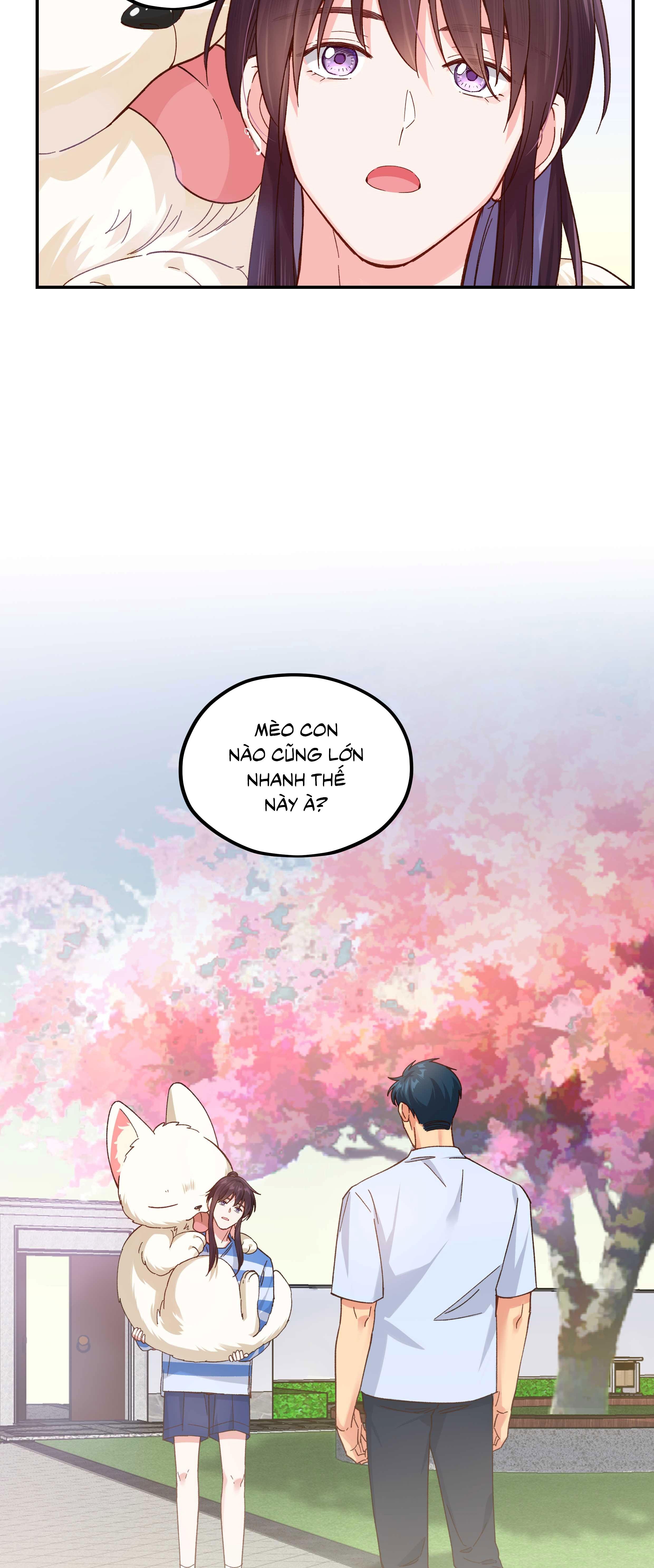 Quán cơm tỳ hưu Chapter 121 - Trang 3