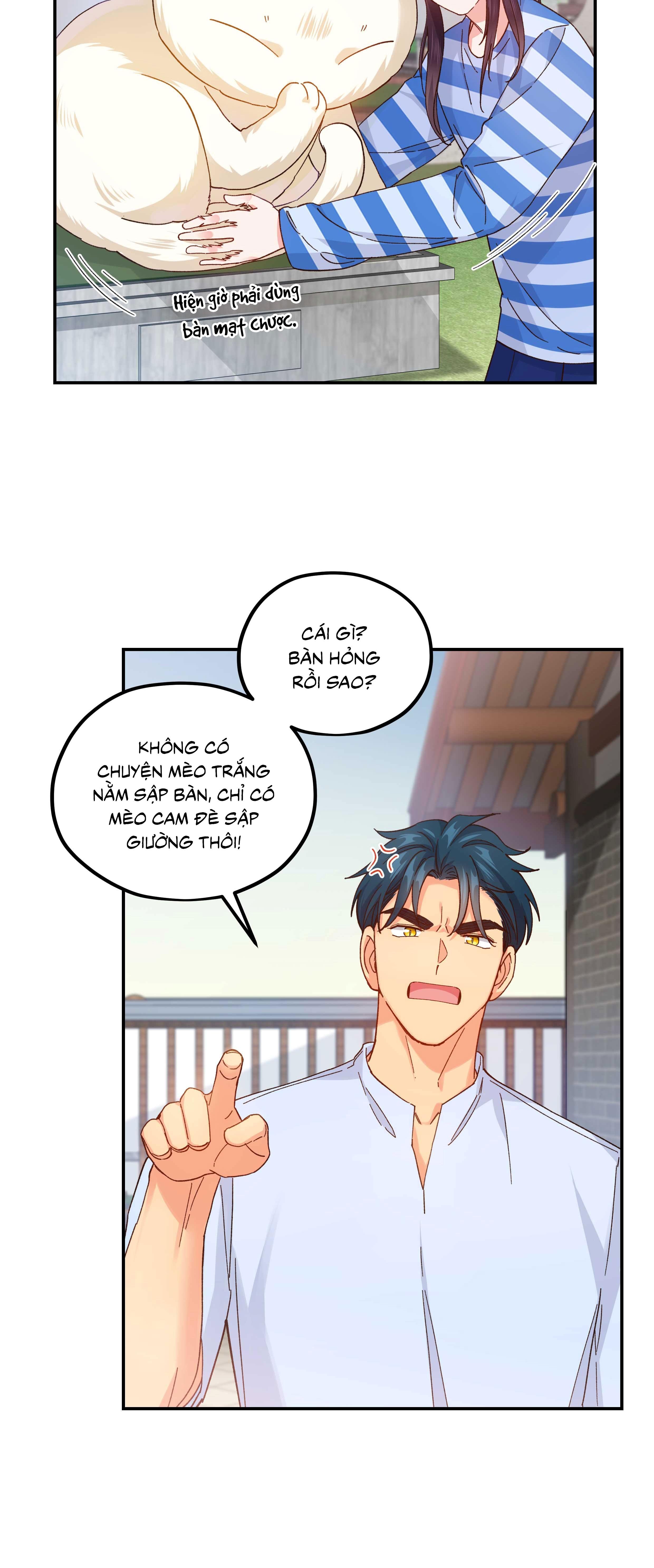 Quán cơm tỳ hưu Chapter 121 - Trang 3